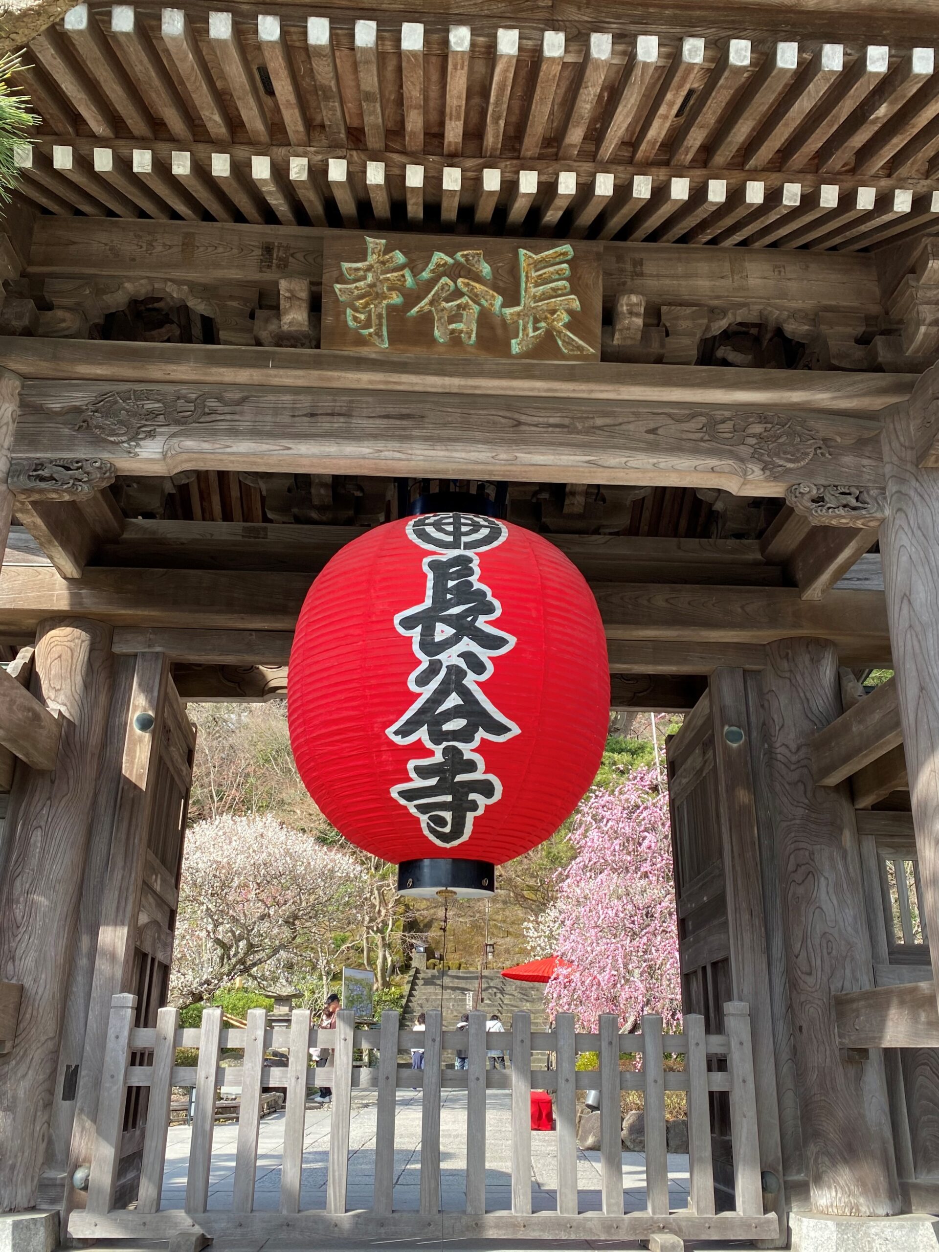 春の鎌倉 長谷寺を訪ねて