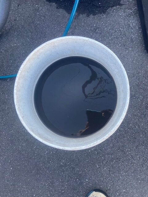 カーペット洗浄